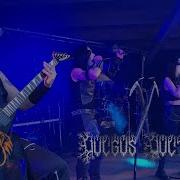 Stormcrow Vulgus Vult Decipi Live