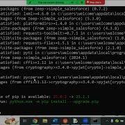 Python SalesForce Integration