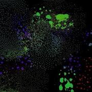 Particle Life Simulation