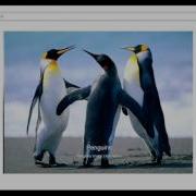Part 51 Bootstrap Image Carousel