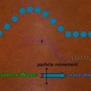 An Introduction To Waves For Students With Its Own Activity Sheet