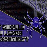 Why Should You Learn WebAssembly