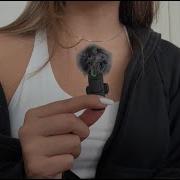 How To Use The Mini Mic Pro Quick Demo