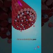 Why Do We Get Muscle Cramps Shorts Viralvideo Creativelearning3d