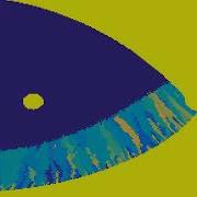 Micro Structure Evolution