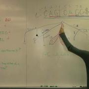 Using The Suffix Tree Conceptually