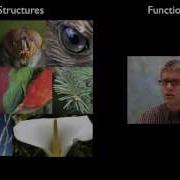 LS1A Structure And Function