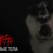 5diez Мертвые Тела Official Music Video