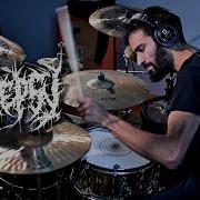 ANALEPSY APOCALYPTIC PREMONITION DRUM COVER