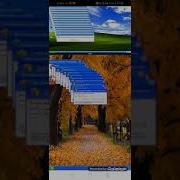 Windows Xp Crazy Error 3