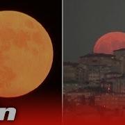 Strawberry Super Moon Lights Up The Night
