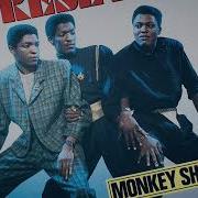 PRESET MONKEY SHOP