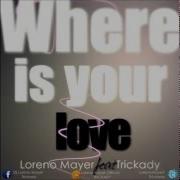 Loreno Mayer Ft Trickady Where Is Your Love