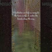 Meditation Can Help Navigate Life W Ease Notice Life S Beauty Along The Journey Shorts