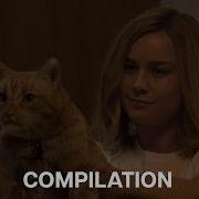 Animals Of The MCU Compilation