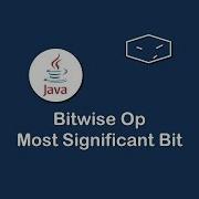 Bitwise Op Most Significant Bit In Java