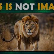 How To Hide Messages In Images Using Python Steganography Tutorial