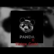CYGO Panda E Türkçe Altyazılı