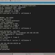 Ifconfig Linux