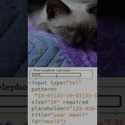 HTML Input Tel Pattern