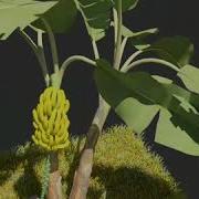Banan Tree Tyflow Simulation Download Max Scene