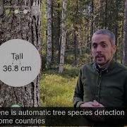 Arboreal Forest Three New Features