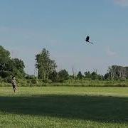 I GOT THE RC FLYING TOOTHLESS LATS FLY