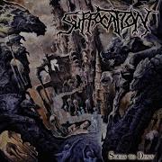 04 Surgery Of Impalement Suffocation HQ 320k
