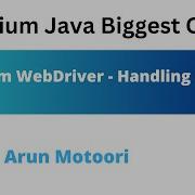 Selenium WebDriver Handling Cookies