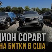 Cg Pnulm5V8X Rvlo Xo4Q