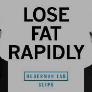 How To Lose Fat Quickly Dr Layne Norton Dr Andrew Huberman