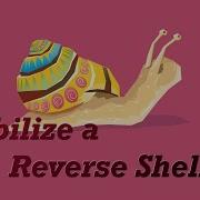 Stabilize A Reverse Shell