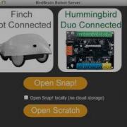 Hummingbird Snap Intro