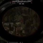 Aim 400kg