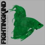 Fighting Kind Beginning Again HD