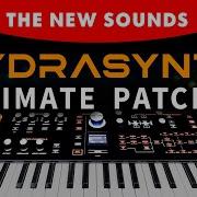 NEW HYDRASYNTH PRESETS The 300 New Patches Sounds Demonstration
