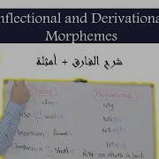 Morphology Inflectional And Derivational Morphemes شرح الفارق