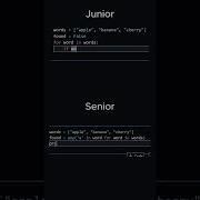 Junior Vs Senior Developer Pt 3 Shorts Python