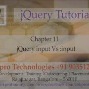 JQuery 11 Selectors Input Vs Input