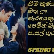 Spring Fever Korean Drama 2026 Sinhala Review Sweet Seoul Recap