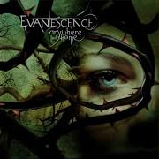 Thoughtless Live From Le Zénith France 2004