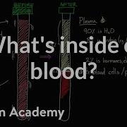 What S Inside Of Blood Lab Values And Concentrations Health Medicine Khan Academy