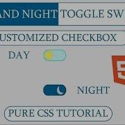 Day Night Toggle Customized Radio Button Pure CSS Tutorial