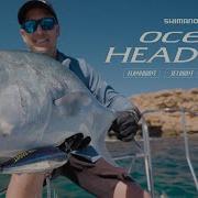 How To Fish The Ocea Head Dip FlashBoost Stickbaits