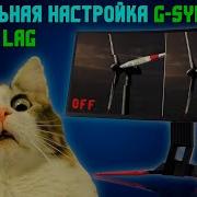 Настраиваем Gsync и уменьшаем инпут лаг