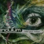 Pendulum Through The Loop