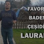 GELECEĞİN BADEM ÇEŞİDİ LAURANNE