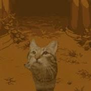 MeowSynth Hotel