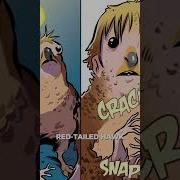 Tobias Was Always Overlooked Comics Scary Animorphs