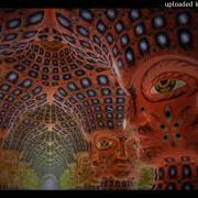 Tool Vicarious Drop C